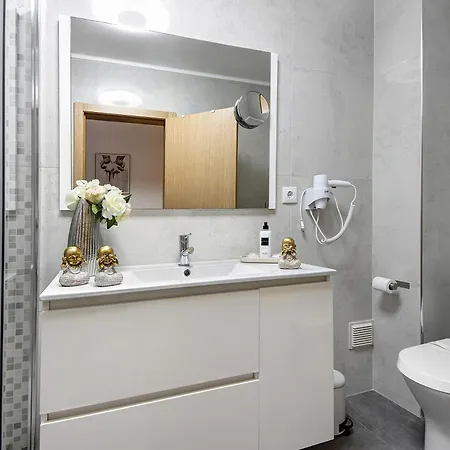 Le Petit Venise Du Portugal Apartamento *